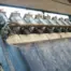 RES Frequency Gluer
