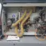 Used BIESSE ARTECH AKRON 425 Edgebander