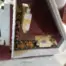 Used Anderson Stratos Pro 5x12 nesting CNC