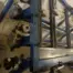 JLT Mitre Door Clamp